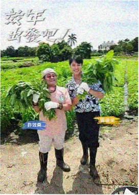 荷花影院免费观看户外真人秀周末不打烊