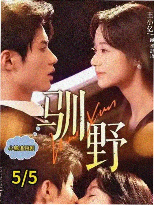荷花影院免费观看都市情感剧晨昏线